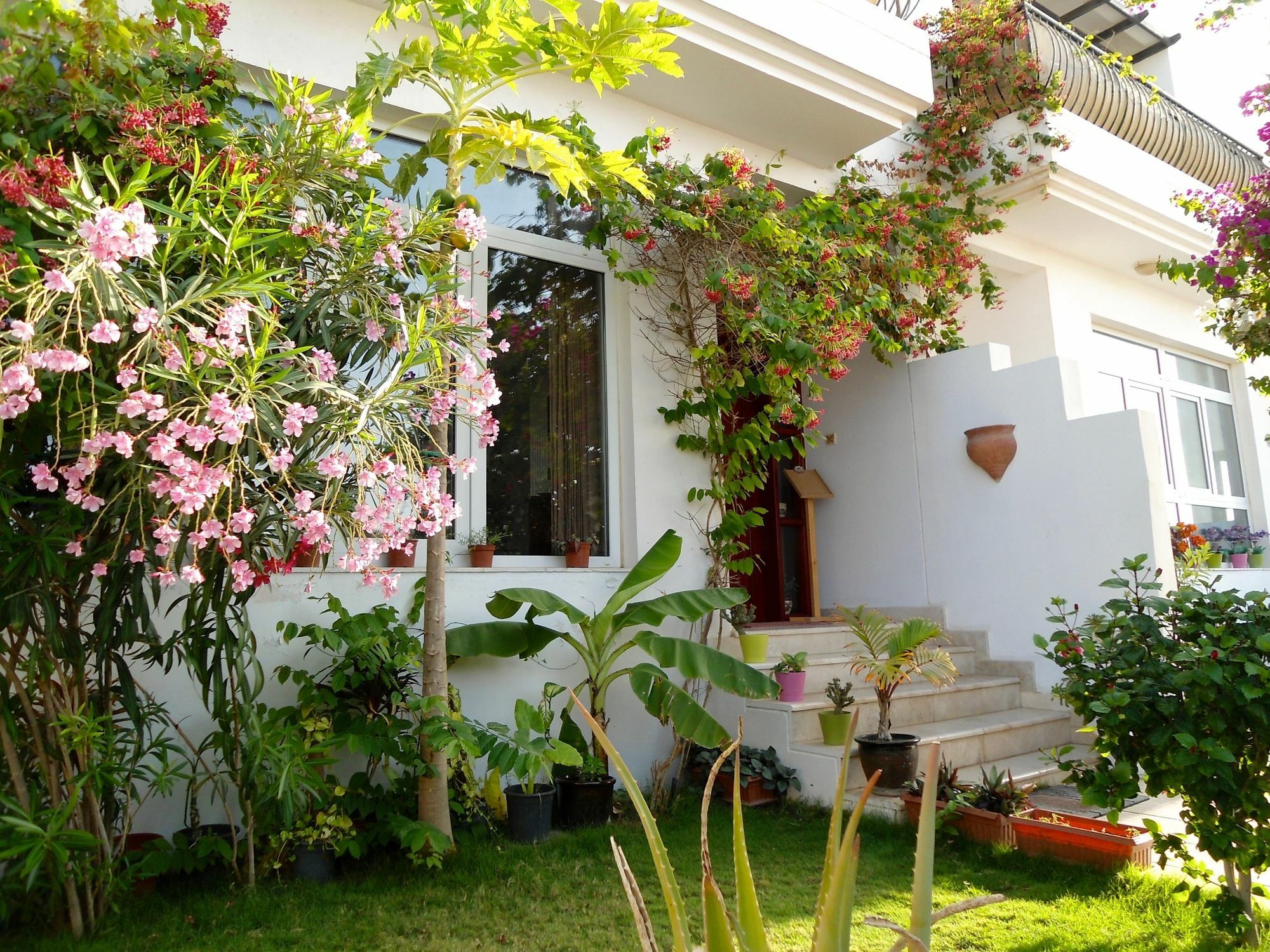 Lana Villa Mascate Extérieur photo