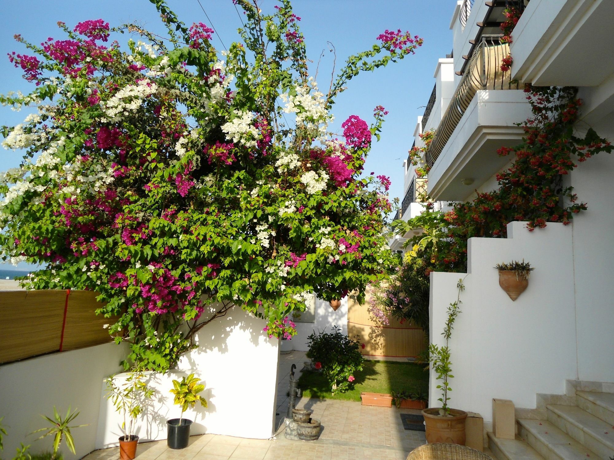 Lana Villa Mascate Extérieur photo